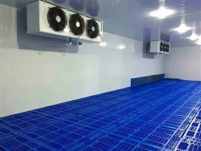 2025 10 โรงงานห้องเย็นชั้นนำในประเทศจีน